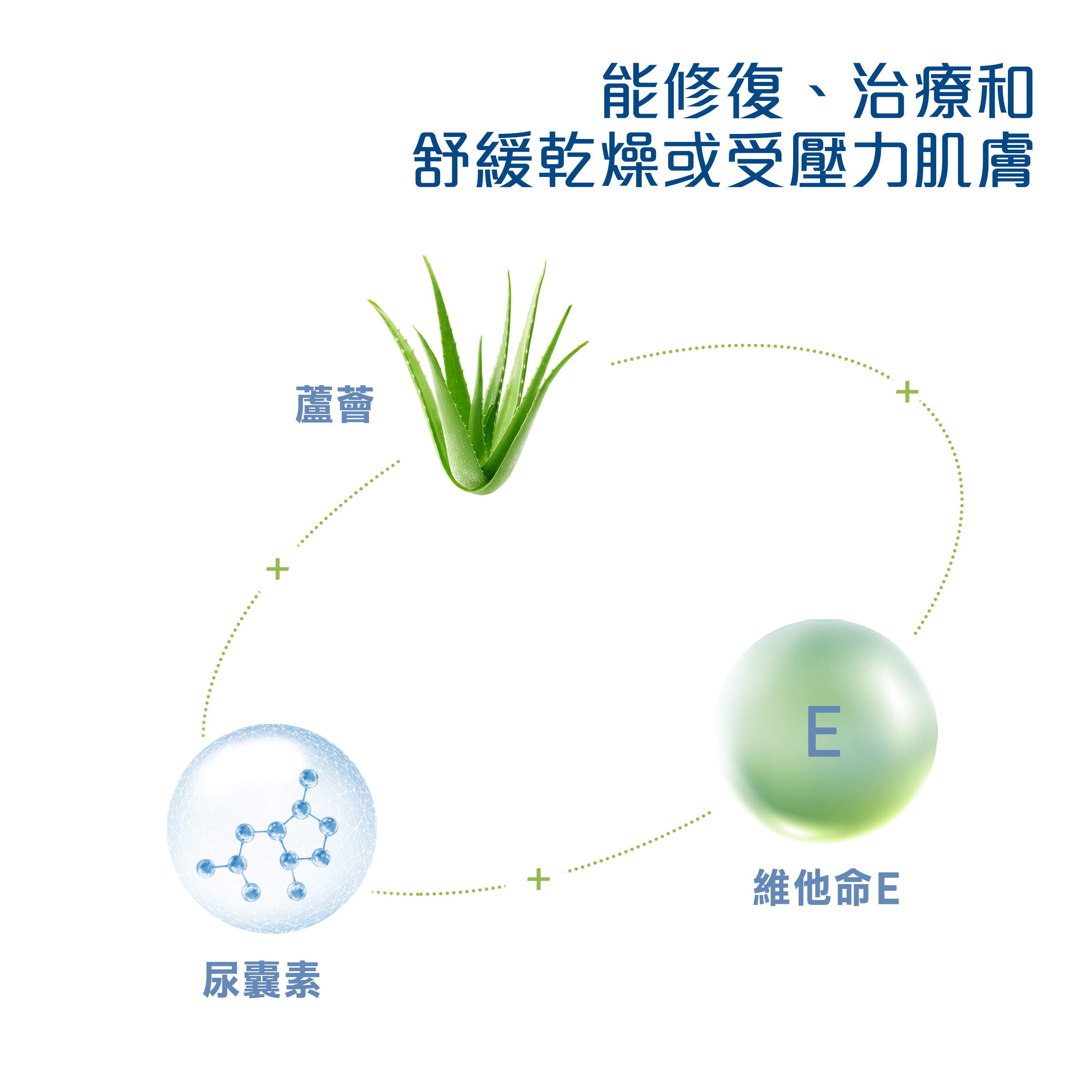 SOOTHING GEL CREAM WITH ALOE 
                    Ingredients